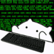 hacker cat